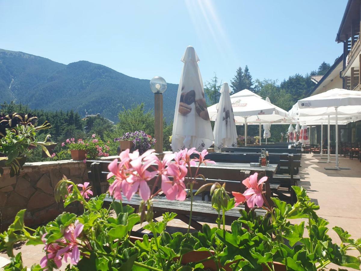 Hotel Panorama Panichishte Εξωτερικό φωτογραφία